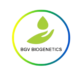 My Website